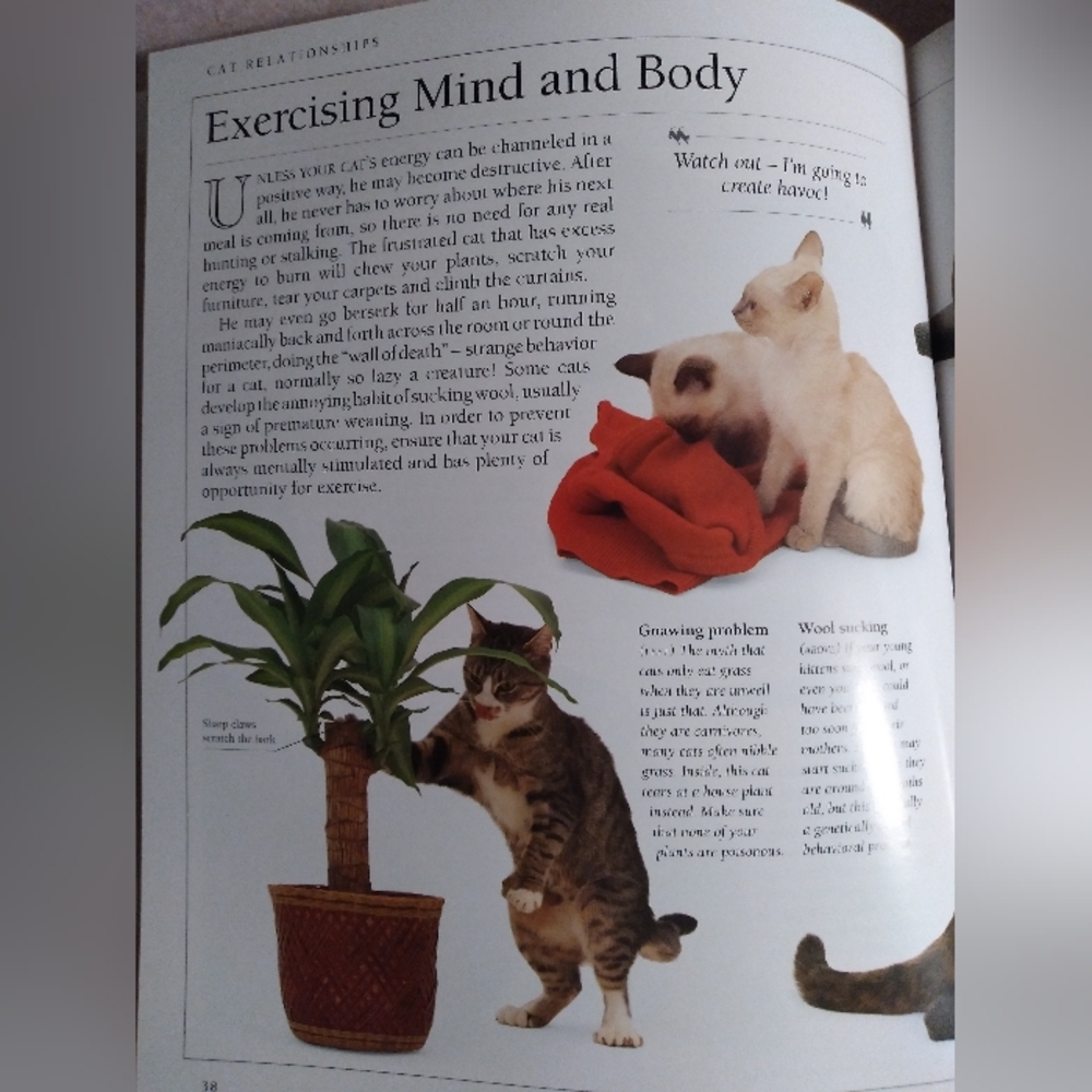 Know Your Cat Book - Picture 5 of 6